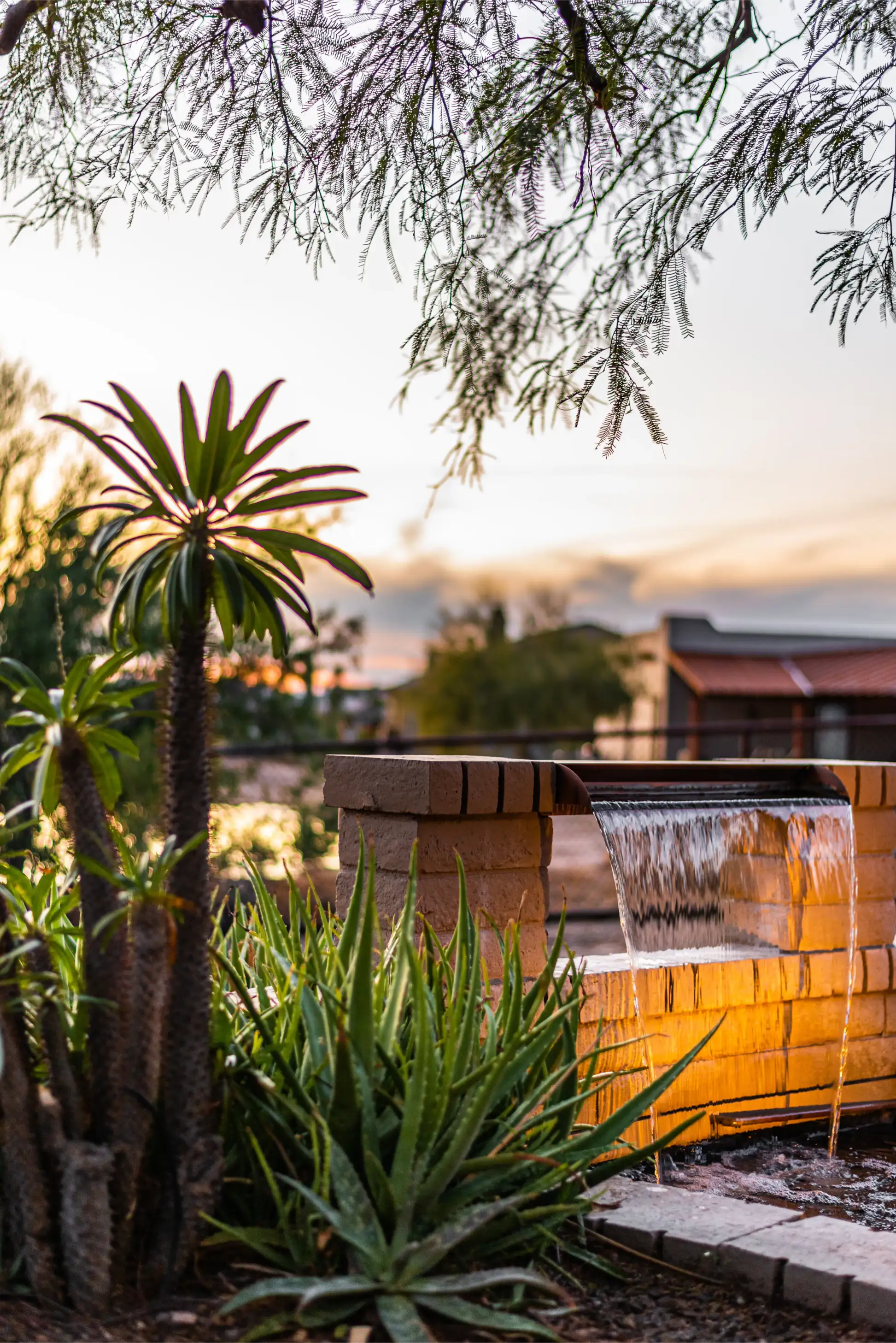 Water feature garden maintenance project